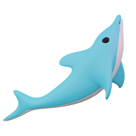 Shark  3D Icon