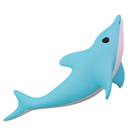 Shark  3D Icon