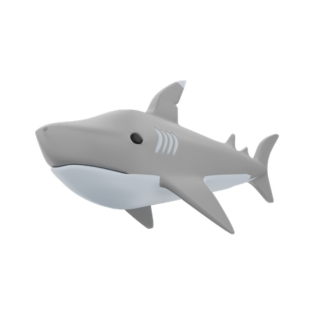 Shark Fish  3D Icon