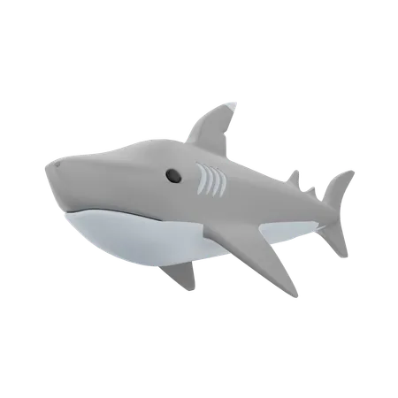 Shark Fish  3D Icon