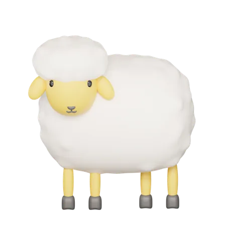 Sheep 3 D Illustration 3D Icon
