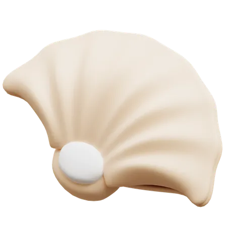 Shell  3D Icon