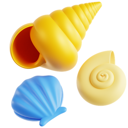 Shell  3D Icon