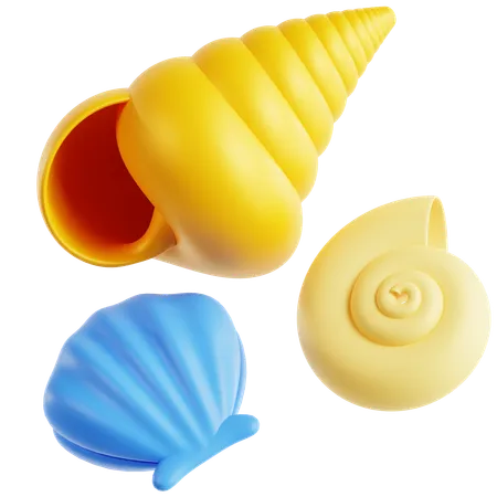 Seashells 3 D Icon 3D Icon
