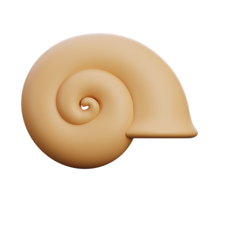 Shell  3D Icon