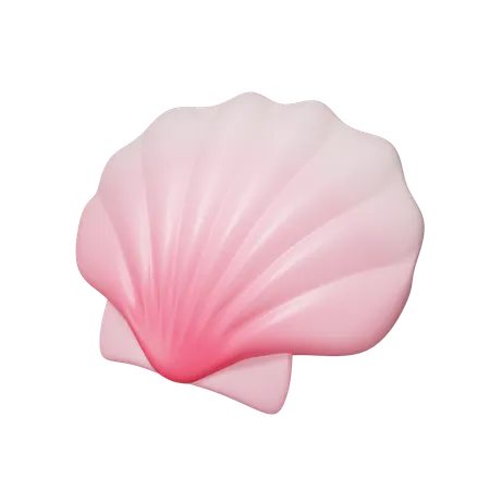 シェル  3D Icon