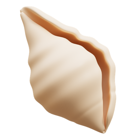 Shell  3D Icon