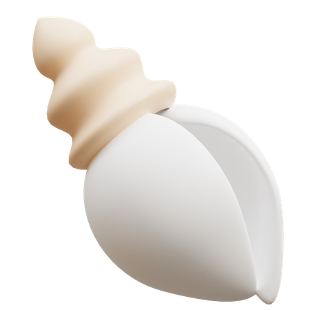 Shell  3D Icon