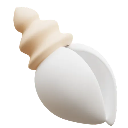 Shell  3D Icon