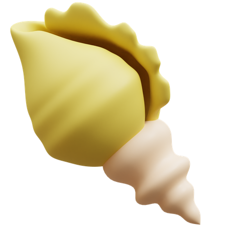 Shell  3D Icon