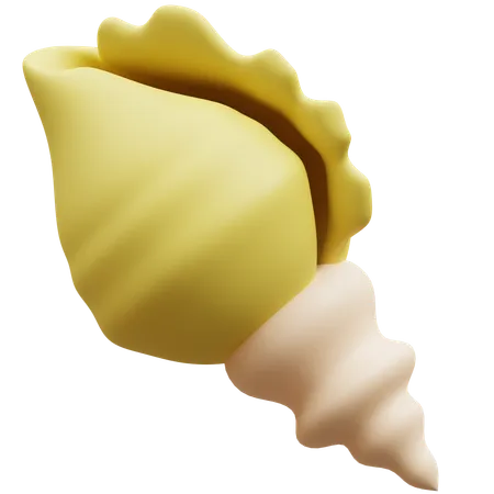 Shell  3D Icon