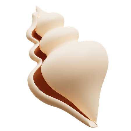 Shell  3D Icon