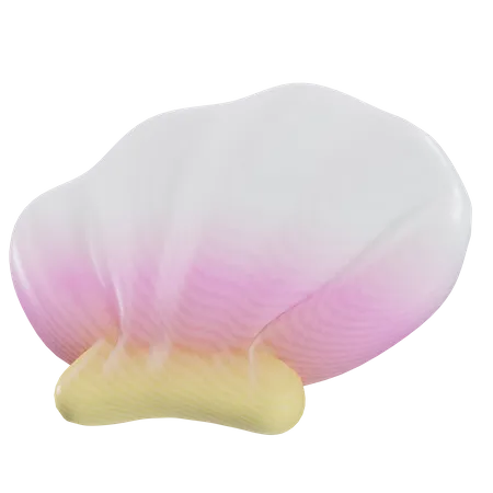 SHELL  3D Icon