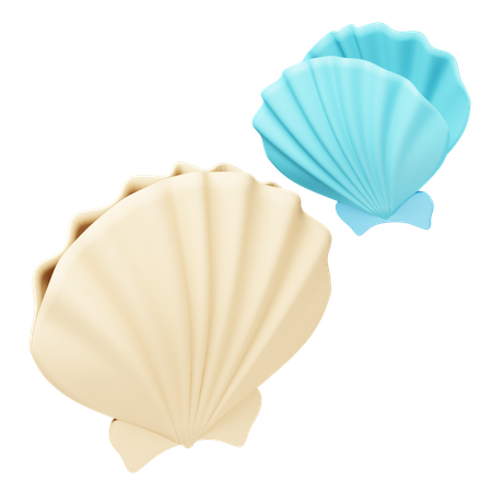 Shell  3D Icon