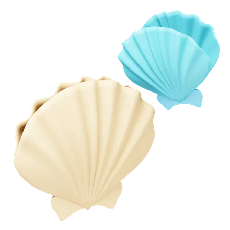 Shell  3D Icon