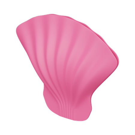 Shell  3D Icon