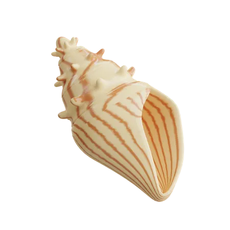 Shell  3D Icon