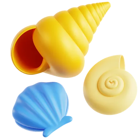 Shell  3D Icon