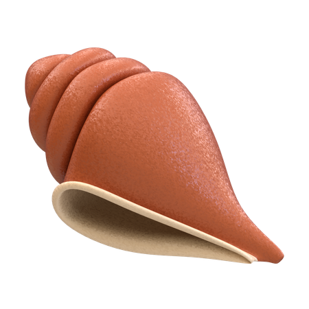 Shell  3D Icon