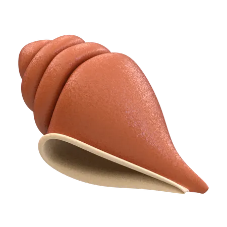 Shell  3D Icon