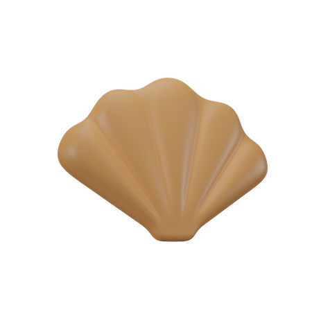Shell  3D Icon