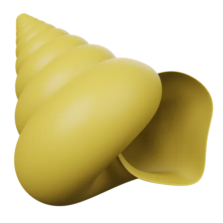 3 D Shell Illustration 3D Icon
