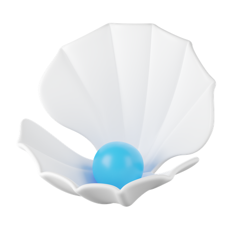 SHELL  3D Icon