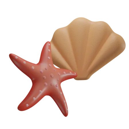Shell And Starfish  3D Icon