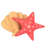 Shell And Starfish