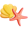 Shell & Starfish