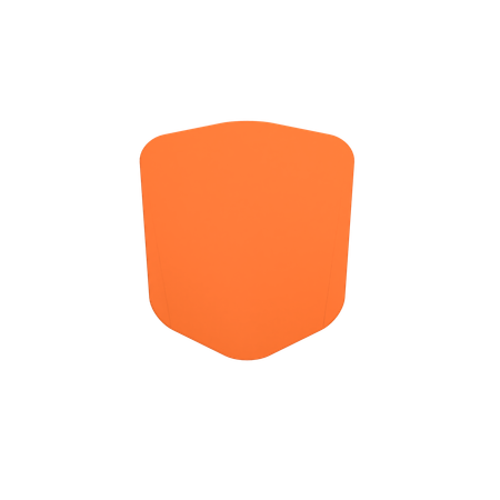 Shield  3D Icon