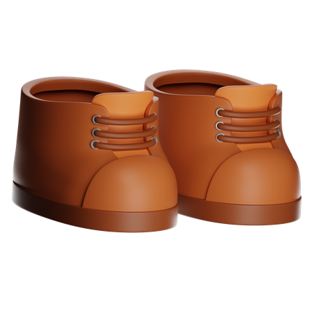 Shoes  3D Icon