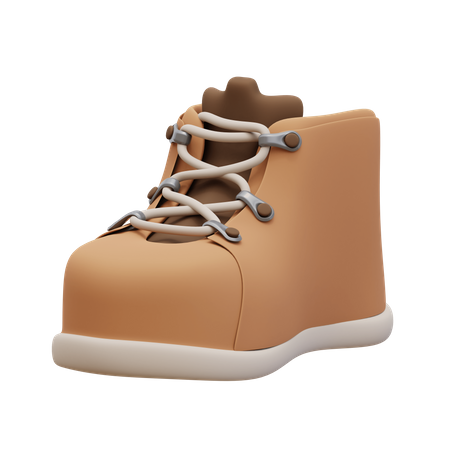 Shoes  3D Icon