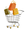 Shopping Bags With Trolley