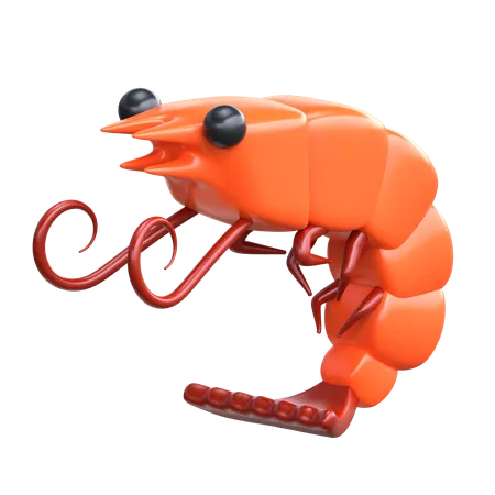 Shrimp 3 D Sea Animal Illustration 3D Icon