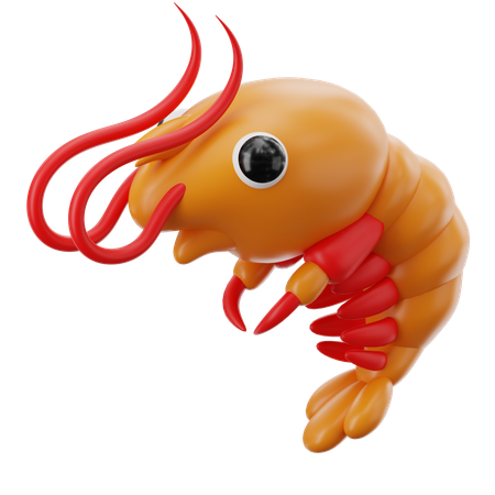 Shrimp  3D Icon