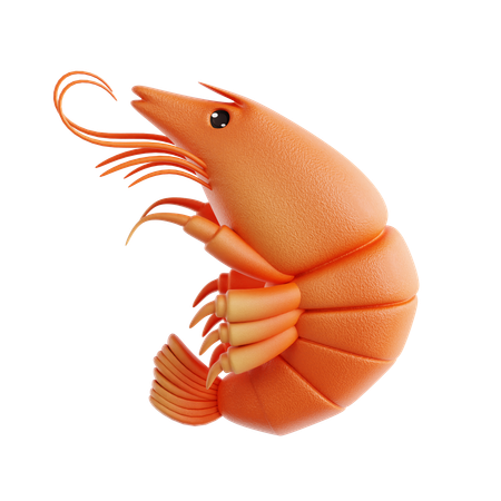 Shrimp  3D Icon