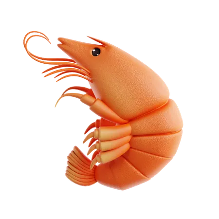 Shrimp  3D Icon