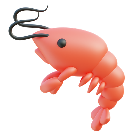 Shrimp  3D Icon