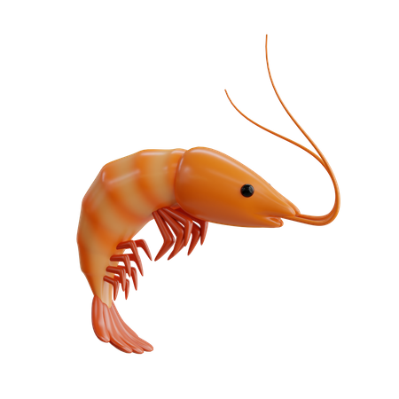 Shrimp  3D Icon