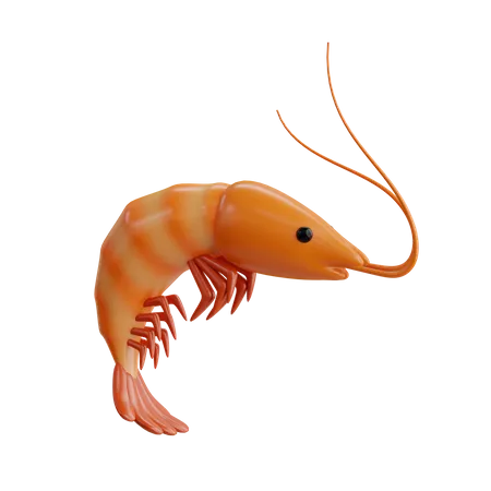 Shrimp  3D Icon