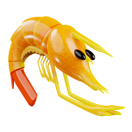 Shrimp  3D Icon