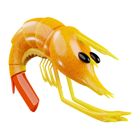 Shrimp  3D Icon