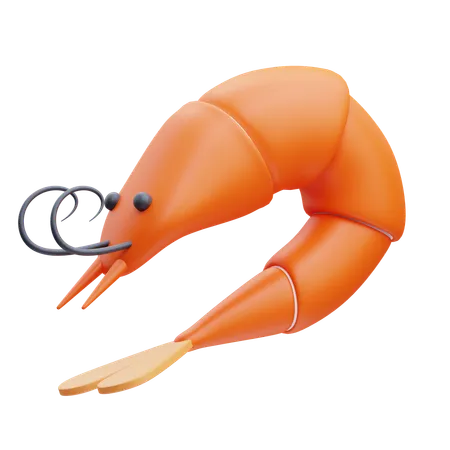 Shrimp  3D Icon