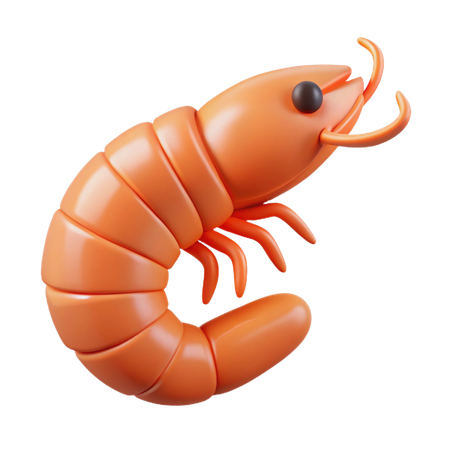 Shrimp  3D Icon