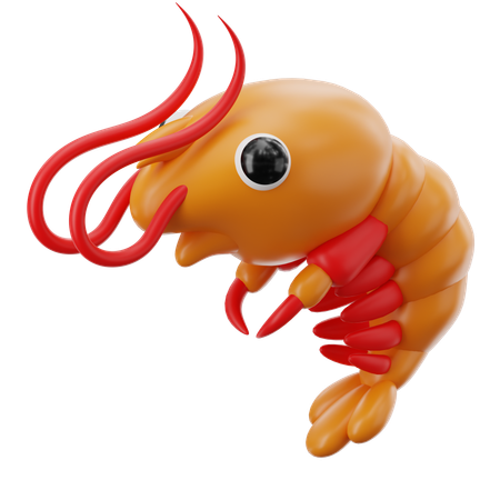 Shrimp  3D Icon