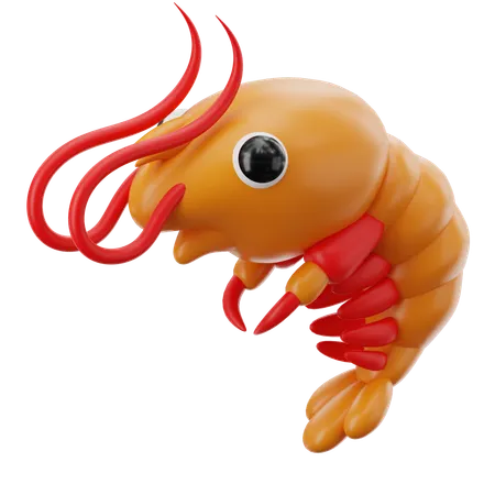 Shrimp  3D Icon