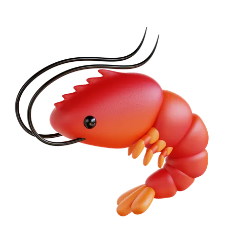 Shrimp  3D Icon