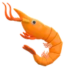 Shrimp