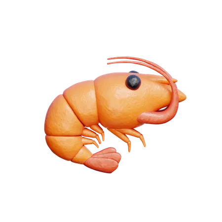 Shrimp  3D Icon